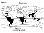 Het natuurlijk verspreidingsgebied van bamboe beperkt zich tot de zwarte gebieden. Het gebied waarin bamboe inmiddels in cultuur is strekt zich uit tot noordelijke gebieden als Canada en Scandinavie